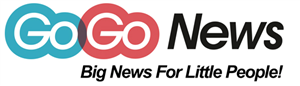 Gogo 